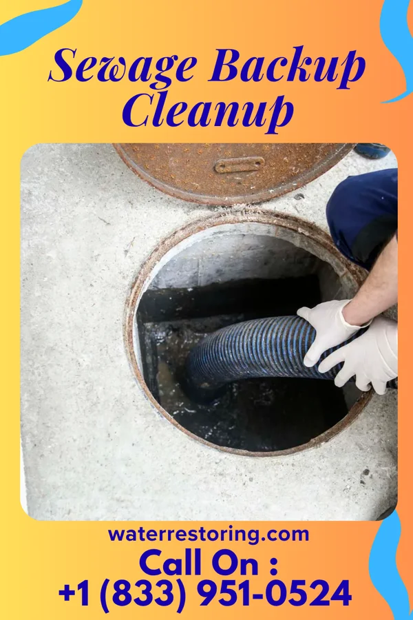 Sewage Backup Cleanup in Valdese, NC